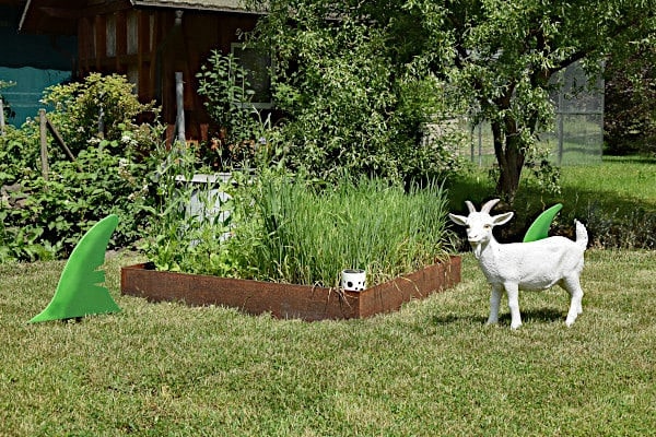 2 m² Blumenbeet (2020)